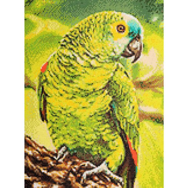 Алмазная (кристальная) мозаика Cristyle, Попугай Гоша, 30х40 см