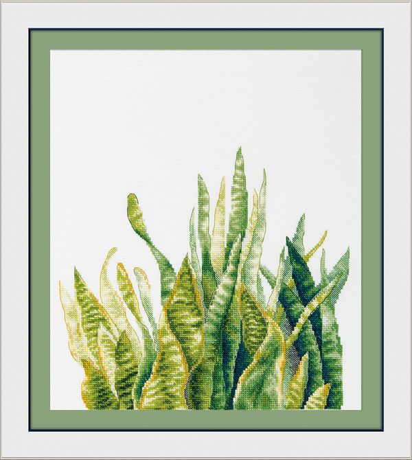 Набор для вышивания нитками Panna C-7455, Сансевиерия, 35х43.5 см