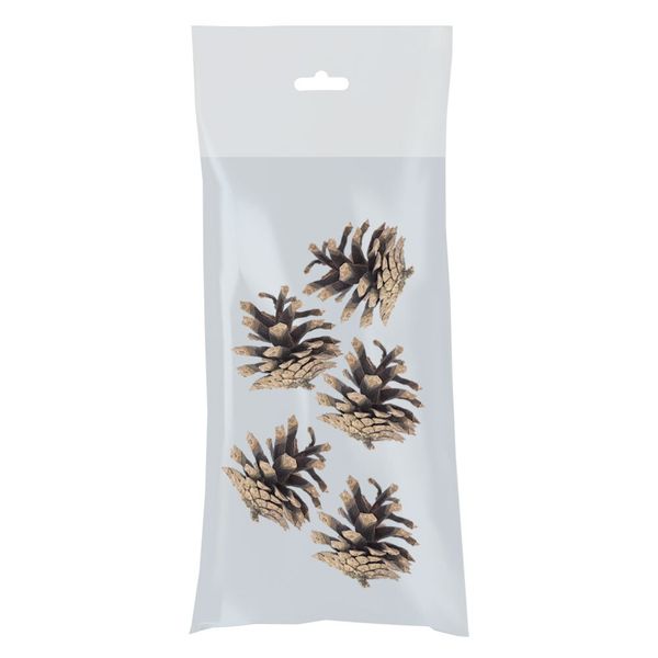 Шишки, 5 шт, 01 Сосна, Blumentag PIF-01