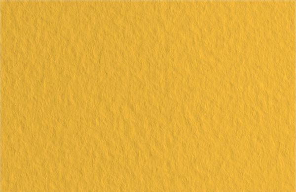 Бумага для пастели 160 г/м², 50х65 см, 10 листов, Arancio/Оранжевый, Fabriano