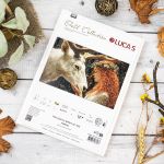 Набор для вышивания нитками Luca-S G724, гобелен Нежный дух леса 33х20см