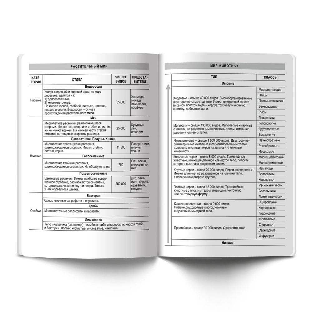 Тетрадь предметная Разные интересы A5+ 48 л. на скобе, 10 шт, клетка, Биология 48ТСК5 000149, Светоч