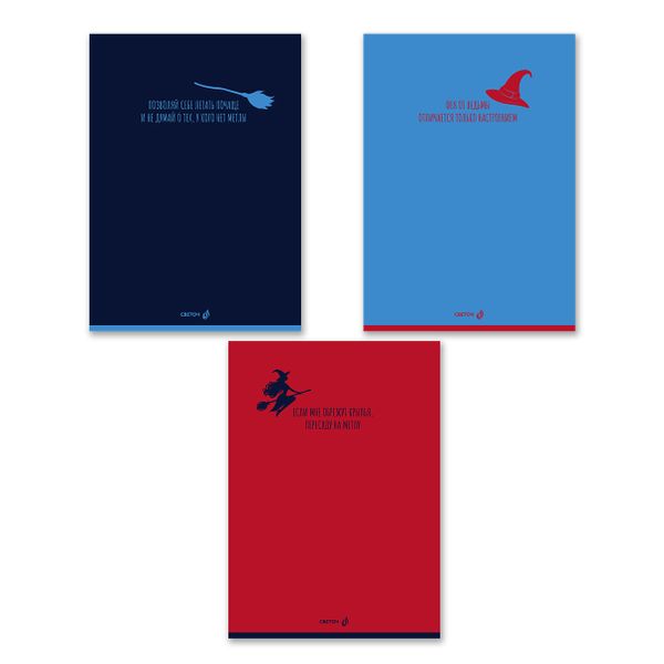 Тетрадь ученическая общая, A4 48 л. на скобе 65 г/м², белизна 100 %, 6 шт, клетка, 01339 Заметки с метлой, Светоч Т152