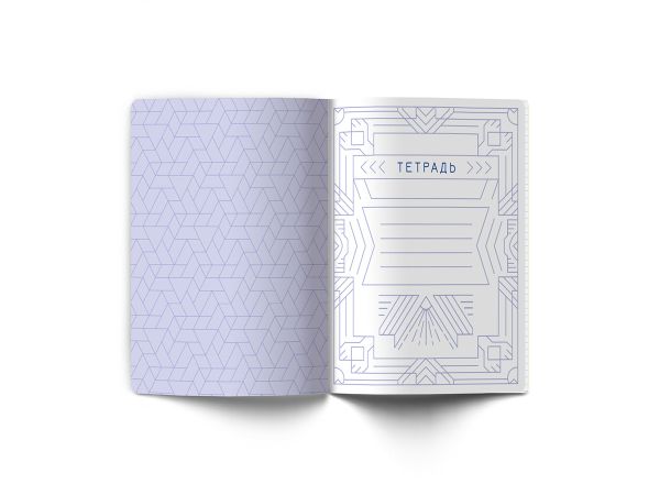 Тетрадь со справочным материалом Линия успеха, софт тач ламинация + тиснение фольгой, A5+ 48 л. на скобе 65 г/м², белизна 100%, 10 шт, клетка, 000580 Информатика, Светоч 48ТПСК5_126_2_1