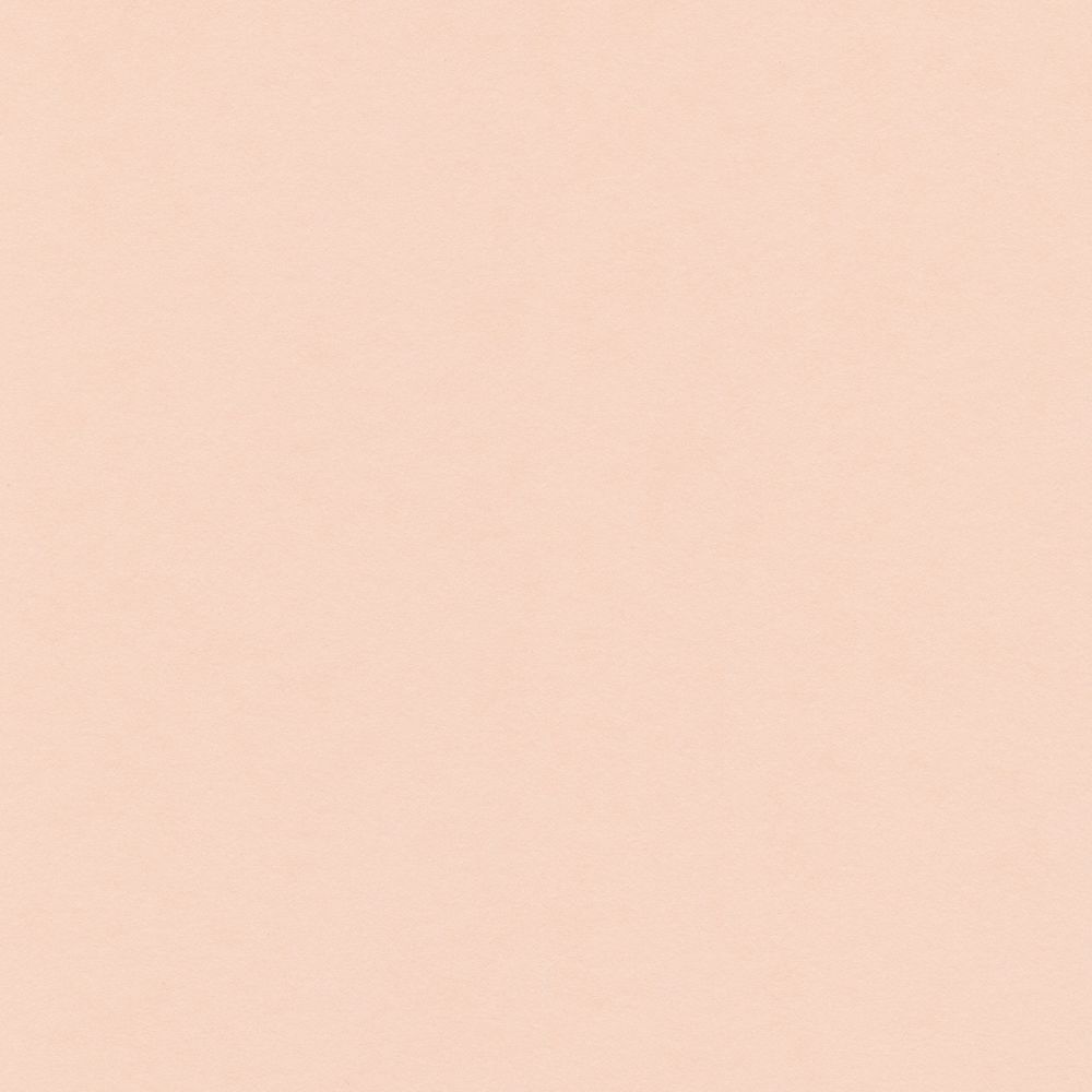 Бумага цветная 120 г/м², A4 21х29.7 см, 50 шт, 22 светло-персиковый/light peach, Vista-Artista
