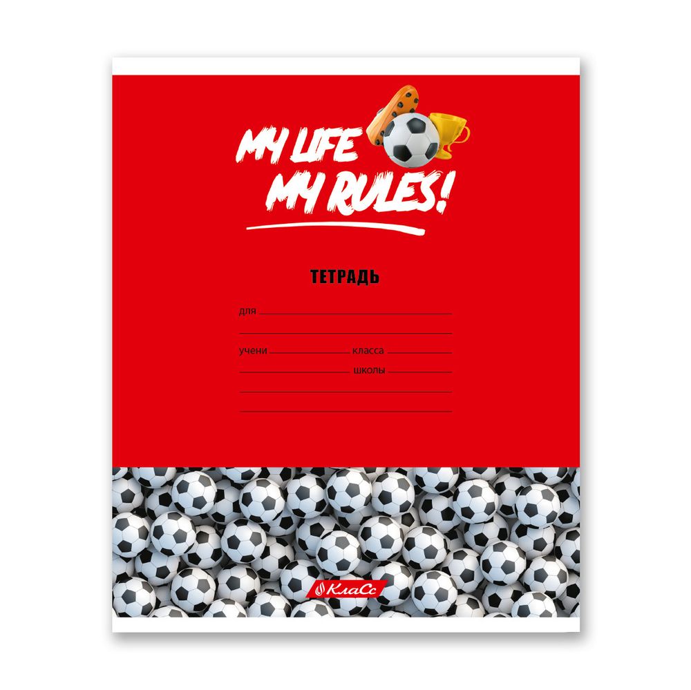Тетрадь ученическая школьная A5+ 24 л. на скобе, белизна 100% 30 шт, клетка, 000372 Мячики, Светоч 24ТСКд5_1_3_1