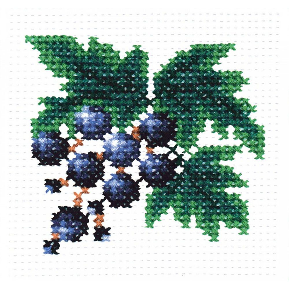 Набор для вышивания нитками РС Студия, Смородина 8х9 см