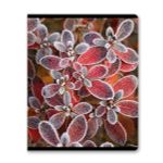 Тетрадь ученическая общая, глянцевая ламинация A5 48 л. на скобе 65 г/м², белизна 100% 10 шт клетка, 01503 Морозная свежесть, Светоч Т71