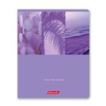 Тетрадь ученическая общая, софт тач лак, A5+ 96 л. на скобе 65 г/м², белизна 100%, 5 шт, линия в термоусадочной пленке, 000338 Magic Colour, Светоч 96ТСК5_12_3_2