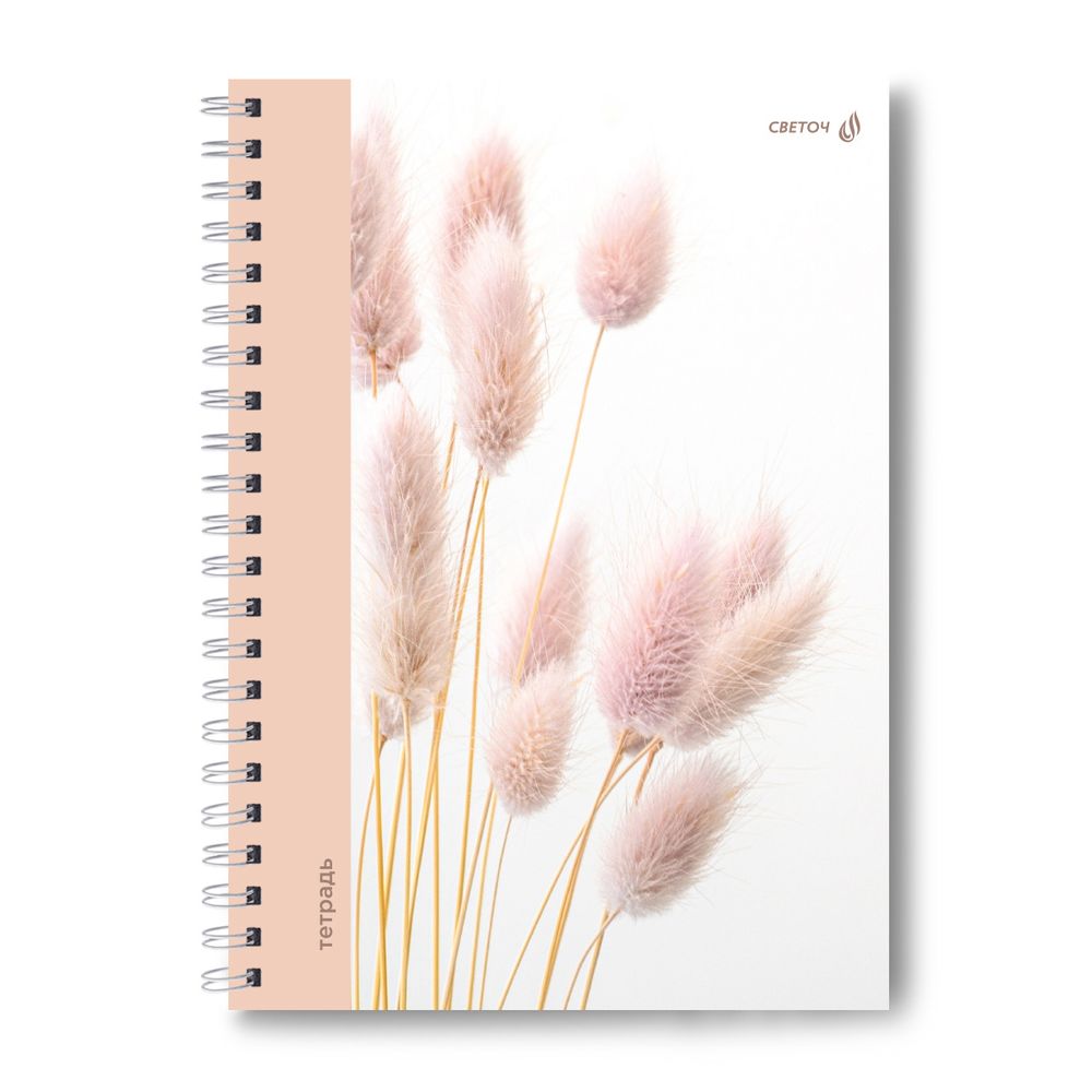 Тетрадь ученическая общая, A4 80 л. на гребне 65 г/м², белизна 100 %, 4 шт, клетка, 01228 Душистый колосок, Светоч Т125