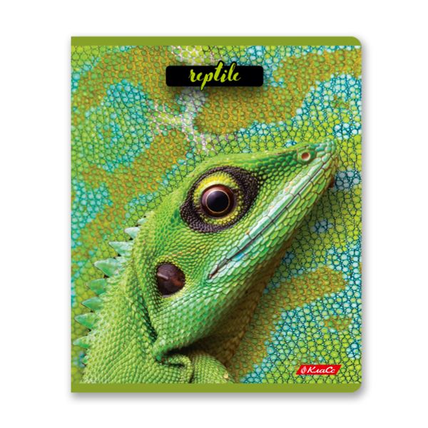 Тетрадь ученическая общая, твин лак, A5+ 80 л. на скобе 65 г/м², белизна 100%, 5 шт, клетка в термоусадочной пленке, 000487 Рептилии, Светоч 80ТСК5_8_2_1