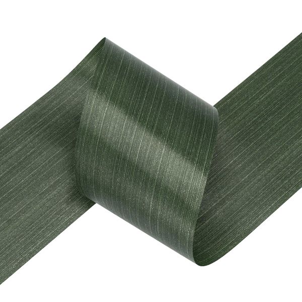 Лента флористическая Аспидистра 98 мм / 10 метров, R100-10DPS