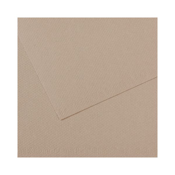 Бумага для пастели 160 г/м², 75х110 см, 25 листов, №122 серый фланель, Canson Mi-Teintes C200321367