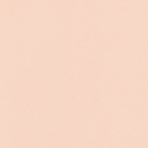 Бумага цветная 120 г/м², A4 21х29.7 см, 50 шт, 22 светло-персиковый/light peach, Vista-Artista