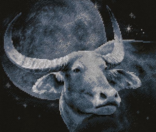 Набор для вышивания нитками Panna, Буйвол, 29,5х23,5 см