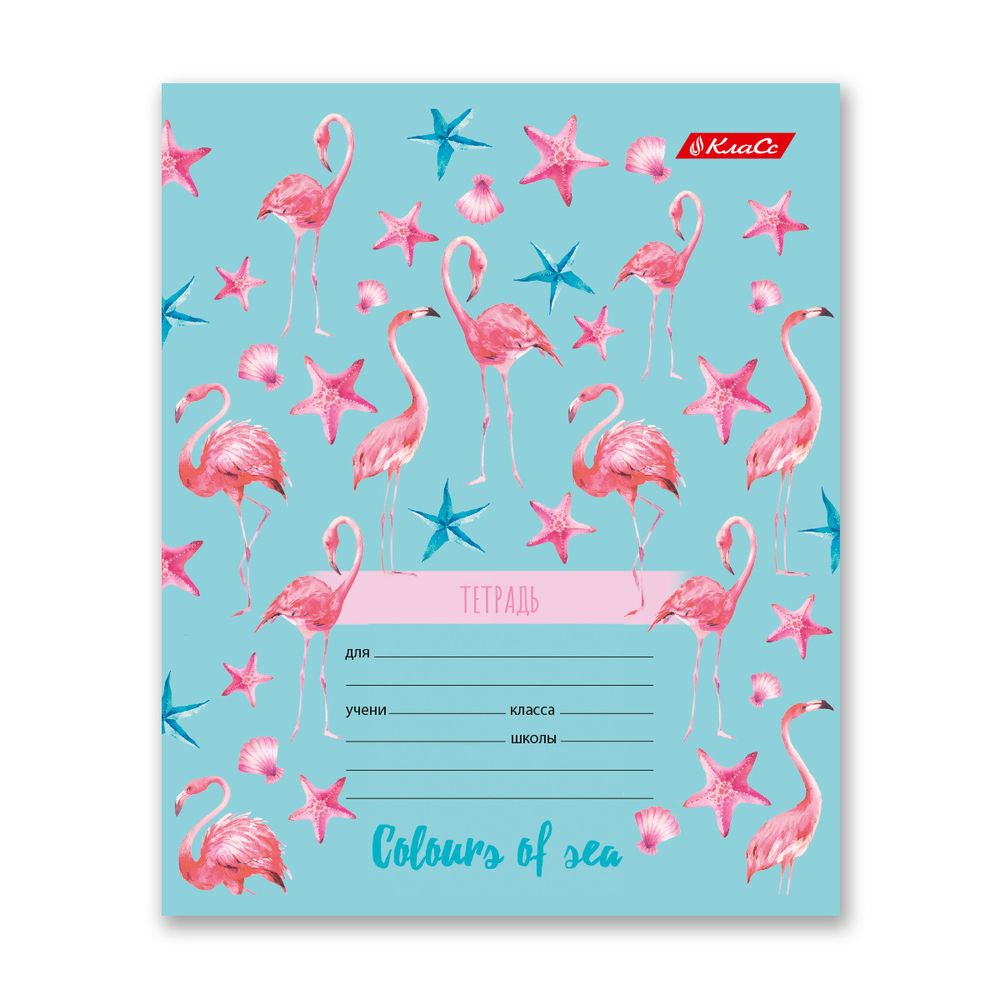 Тетрадь ученическая школьная A5+ 24 л. на скобе 65 г/м², белизна 100% 30 шт, клетка, 000375 Океания, Светоч 24ТСКд5_1_3_1