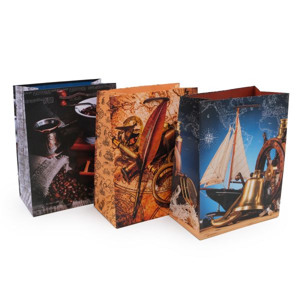 Пакет подарочный Мужской микс 18х23см, уп/12 шт, Ч02981