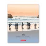 Тетрадь ученическая общая, A5+ 96 л. на скобе, белизна 100%, 5 шт, клетка, 000351 Дикая природа, Светоч 96ТСК5_1_3_1