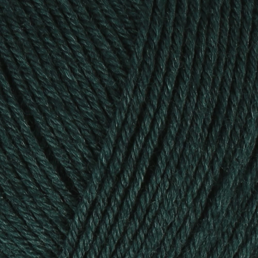 Пряжа Schachenmayr (Шахенмайер) Regia Premium Silk, 4 нитки, 100г, 400м, 9801632, 00070 /TOS/