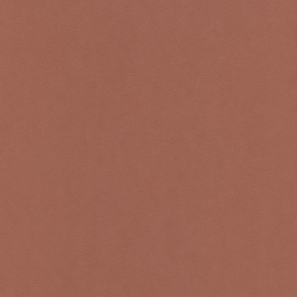 Бумага цветная 120 г/м², A4 21х29.7 см, 50 шт, 30 коричневый/brown, Vista-Artista