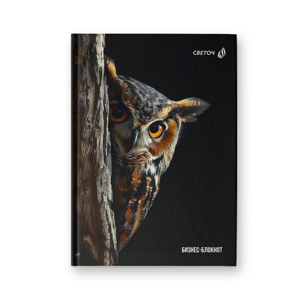 Бизнес-блокнот, мат.ламин.+выбор.лак, блок кремовый, ББ246 евроформат (14.4х20.3х1.6 см) 64 л. 4 шт французская клетка, Сова - мудрая голова 01673, Светоч