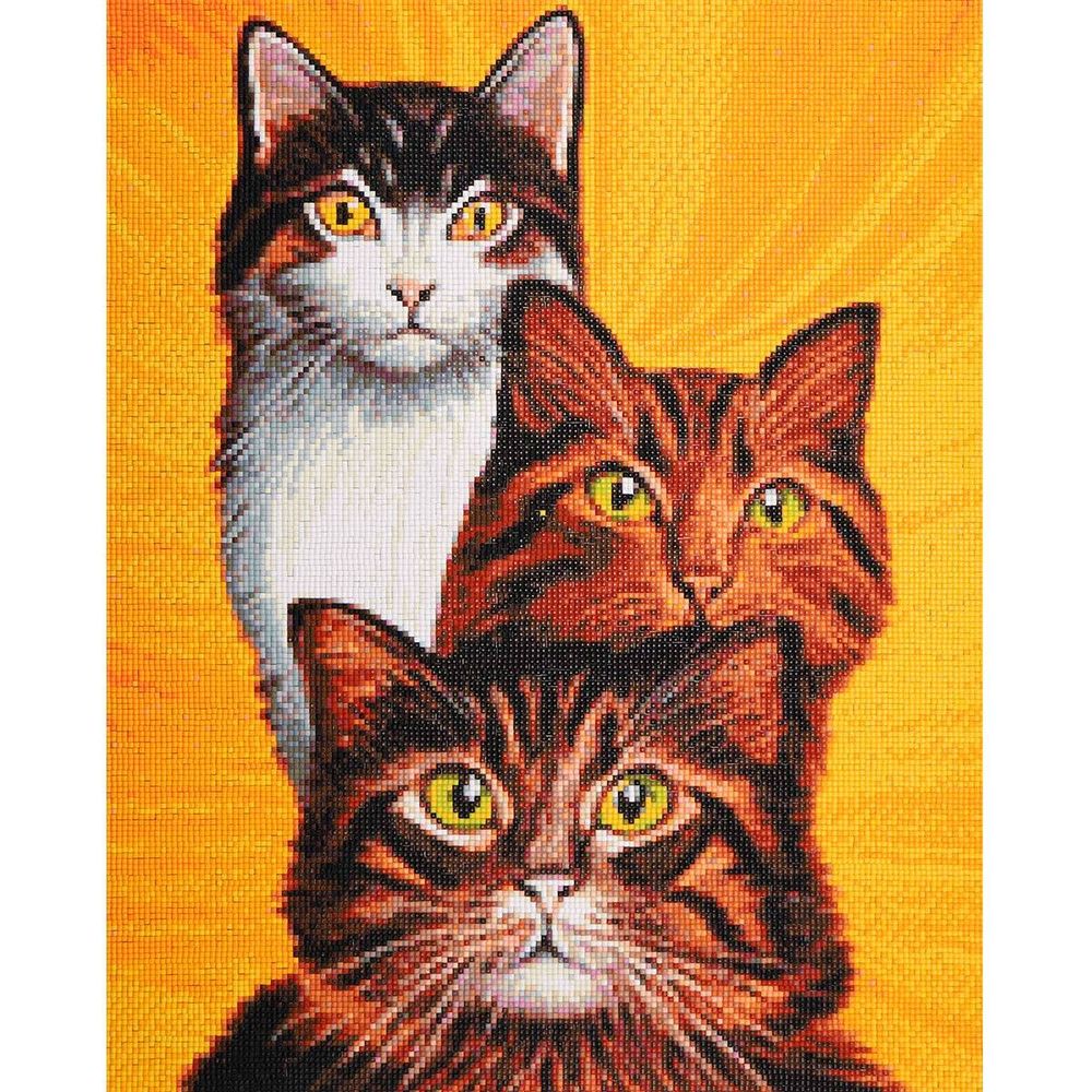 Cristyle, Трио котов, 40х50 см, 624971