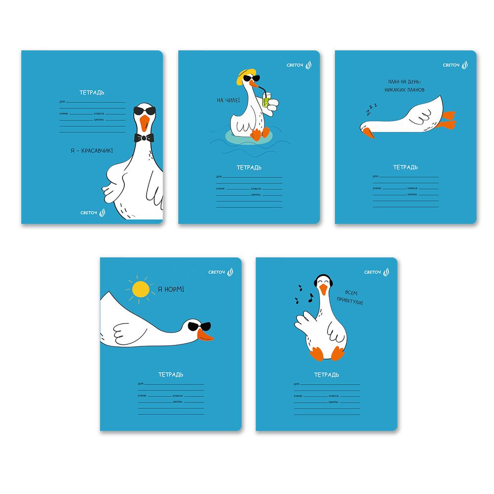 Тетрадь ученическая школьная, выборочный лак, A5+ 18 л. на скобе 65 г/м², белизна 100 %, 20 шт, клетка, 01133 Красавчик, Светоч Т86