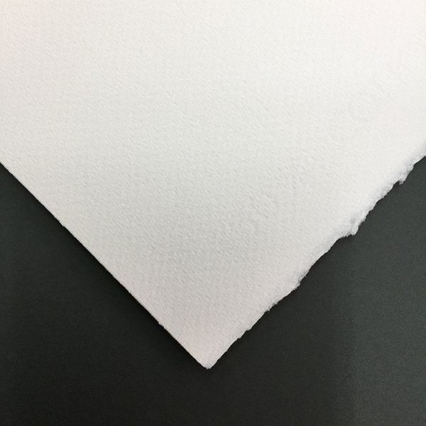 Бумага акварельная Disegno 5 300 г/м², (50х70 см), 25 шт, среднезернистая, Fabriano 30001121