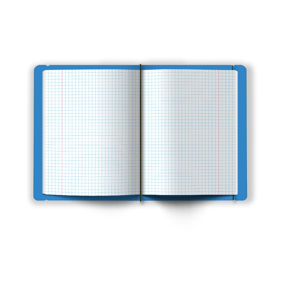 Тетрадь общая в съёмной пластик. обложке на резинке, тиснение фольгой, 500 мкр, A5+ 48 л. папка 65 г/м², белизна 100%, 4 шт, клетка, 000677 Голубая, Светоч ТЕТ48-001