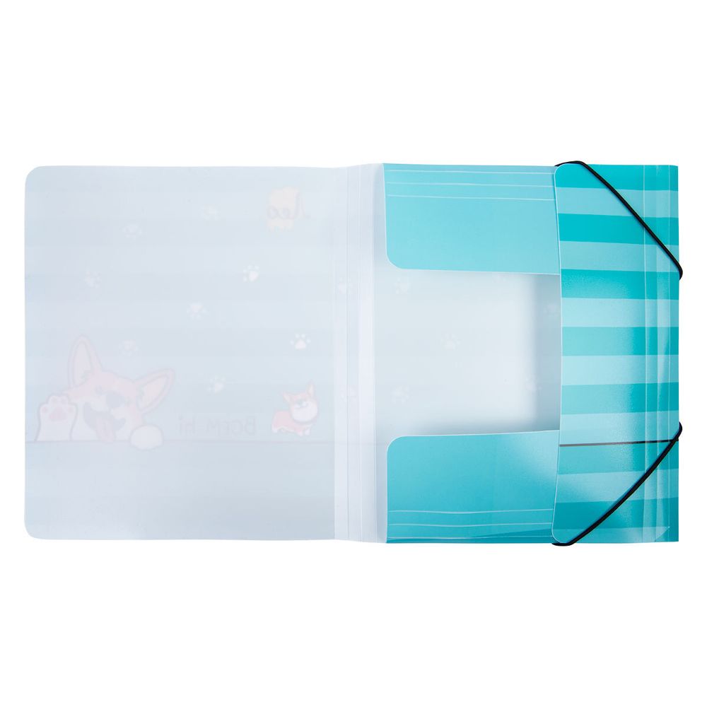 Папка на резинке A4 LRF-06 450 мкм 35 мм, песок, 5 шт, 04-Корги, Лео LRF-06