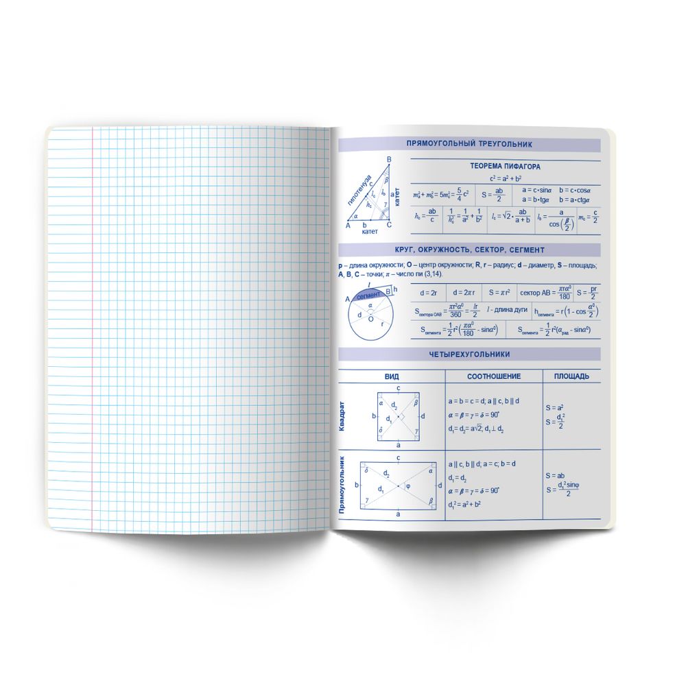 Тетрадь со справ.материал. Архивариус пластик.обл. 320мкм с тис.золот.фольгой. A5 48 л. на скобе 65 г/м², белизна 100% 10 шт, клетка, 01875 Архивариус Геометрия, Светоч Т290