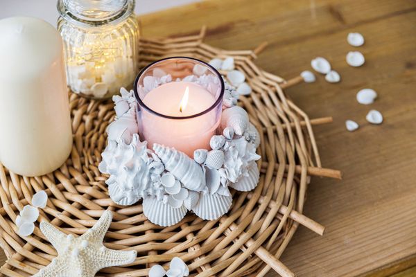 Ракушки декоративные, 3 шт, 6.3 см, Strombus Canarium, Zlatka DRF-017