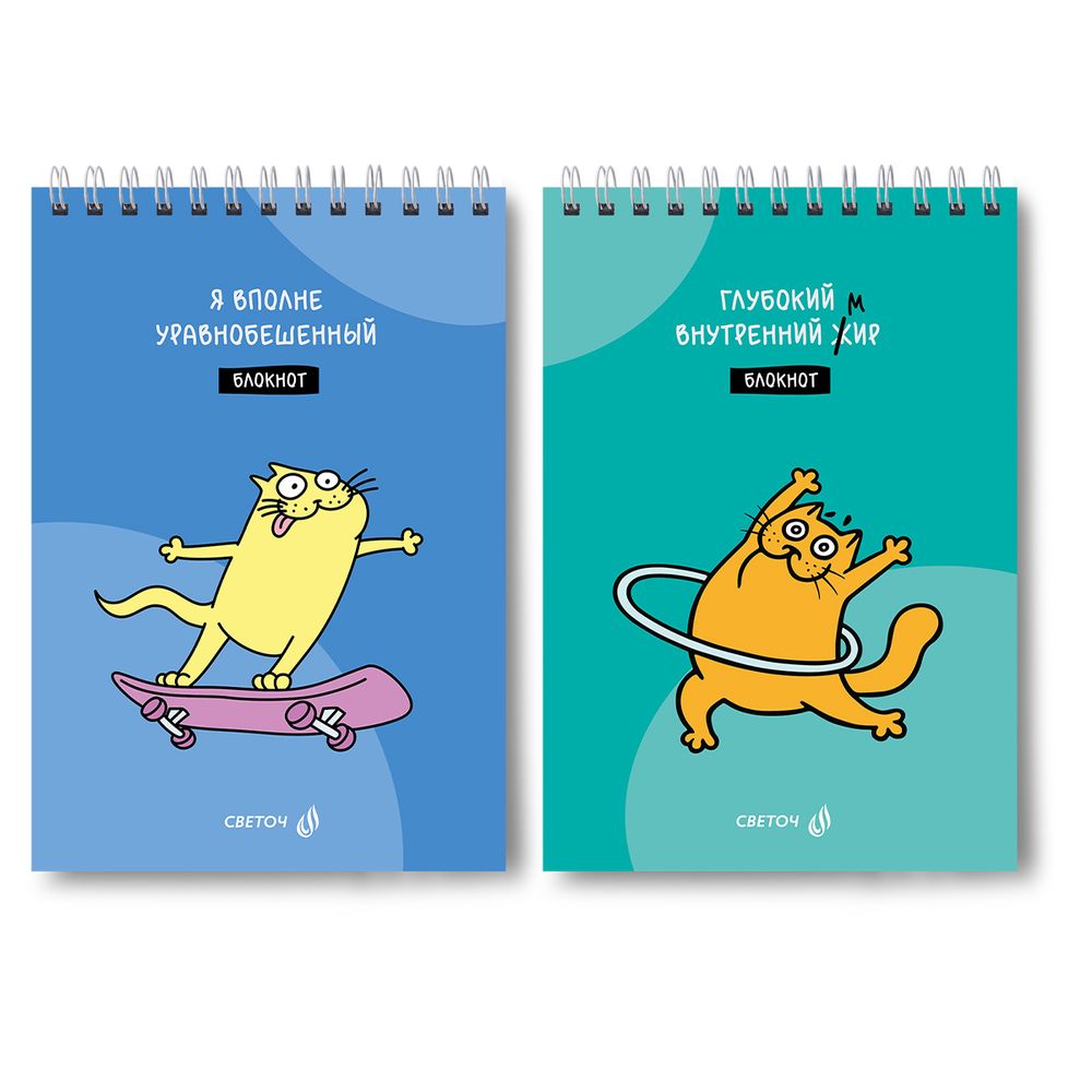 Блокнот на гребне, выборочный лак, A5 60 л., 4 шт, клетка, Жил был кот 01258, Светоч Б131