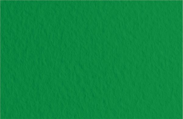 Бумага для пастели 160 г/м², 50х65 см, 10 листов, Biliardo/т.зеленый, Fabriano