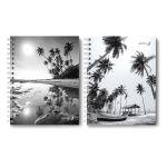 Тетрадь общая с твердой обложкой, матовая ламинация A5 96 л. на гребне 65 г/м², белизна 100% 4 шт клетка, 01558 Сквозь солнечные очки, Светоч Т213