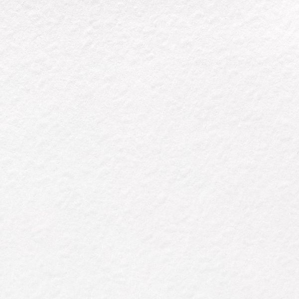 Папка с бумагой для акварели А4 200 г/м², папка 20 л, Гознак тисненая PWG-01, Vista-Artista