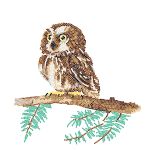 Алмазная (кристальная) мозаика Фрея, постер Совенок на ветке, 30х30 см