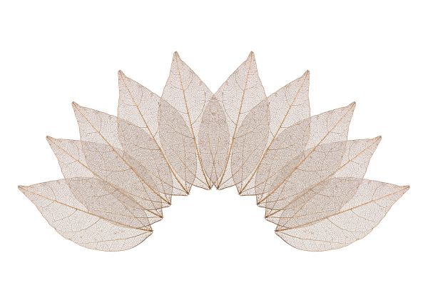 Листья скелетированные 2-6 см, 50 шт (5х10 шт), 04 золотистый, Mr.Painter SFL-01