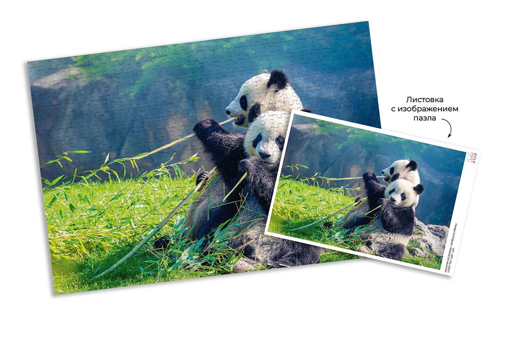 Пазл 500 элементов, Панды на отдыхе, PZL-500/51, Фрея