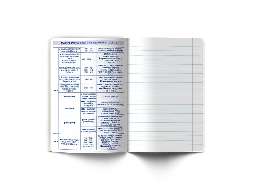 Тетрадь со справочным материалом Яркие краски, матовая ламинация + выбор. лак, A5+ 48 л. на скобе 65 г/м², белизна 100%, 10 шт, линия, 00870 Русский язык, Светоч 48Т8