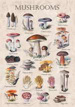 Пазл 1000 элементов, PZL-1000/100 Грибная энциклопедия, Фрея