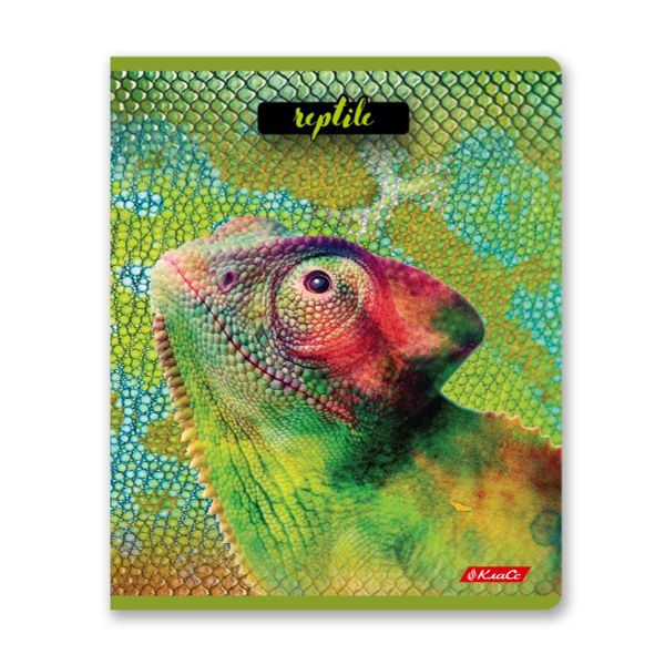 Тетрадь ученическая общая, твин лак, A5+ 80 л. на скобе 65 г/м², белизна 100%, 5 шт, клетка в термоусадочной пленке, 000487 Рептилии, Светоч 80ТСК5_8_2_1