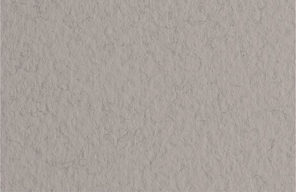 Бумага для пастели Tiziano 160 г/м², A3 29.7х42 см, 25 л, China/Серый теплый, Fabriano, 72942128