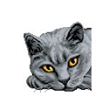 Алмазная (кристальная) мозаика Фрея, постер Британская кошка, 30х30 см