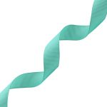 Лента репсовая (в рубчик) 20.0 мм, 121 бирюзовый, уп.18,28 м