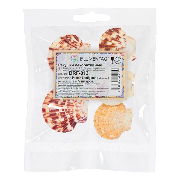 Ракушки декоративные, 5 шт, 5.7 см, Pecten Lentigious (Untrimmed), Zlatka DRF-013