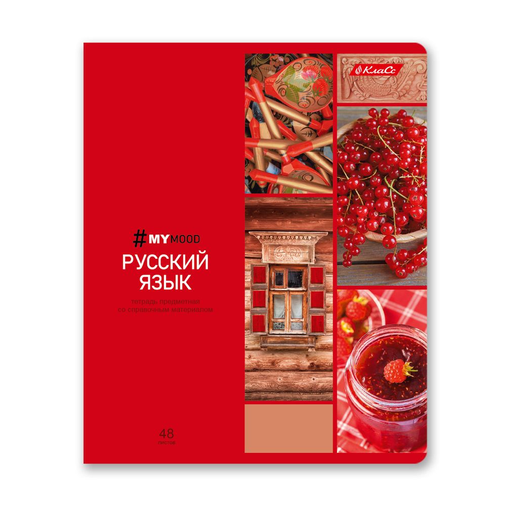 Тетрадь со справочным материалом Доска желаний, A5+ 48 л. на скобе 60 г/м², белизна 90%, 10 шт, линия, 000517 Русский язык, Светоч 48ТПСКд5_0_2_2