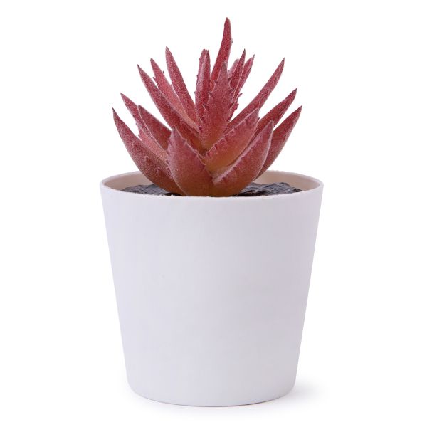 Растение искусственное в кашпо 6х10 см, 1 шт, 02, Blumentag ATF-05