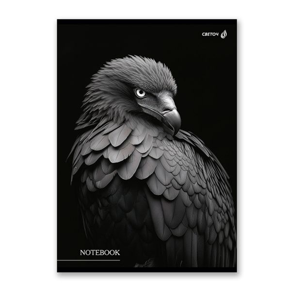 Тетрадь ученическая общая, выборочный лак, A4 80 л. на скобе 65 г/м², белизна 100 %, 6 шт, клетка, 01350 Чёрные крылья, Светоч Т155