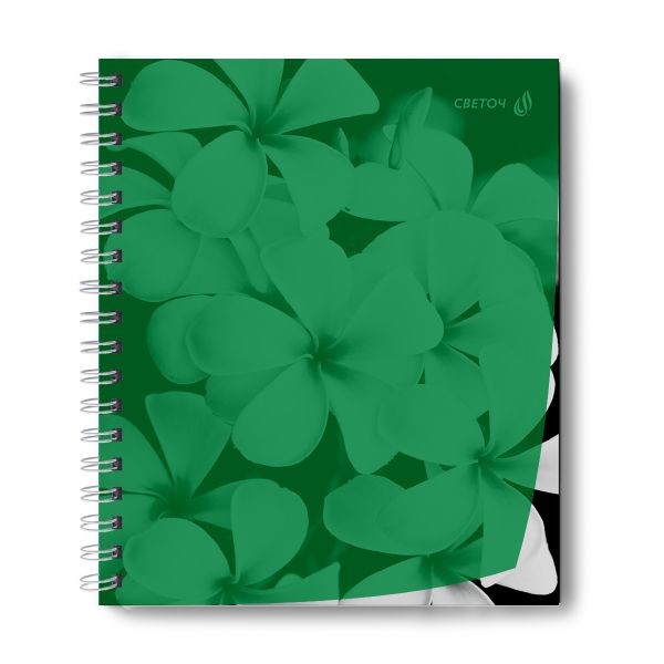 Тетрадь общая с пластик. обложкой, ч/б запечат. титульн.лист, 180 мкм, A5 48 л. на гребне 65 г/м², белизна 100% 4 шт клетка, 01548 Утренний пейзаж, зелёная, Светоч Т208